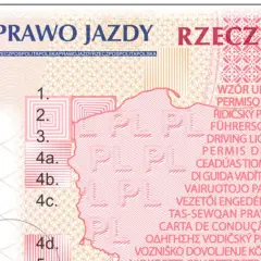 Jak wygląda egzamin kontrolny po utracie prawa jazdy i jak się do niego przygotować?