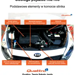 Co jest pod maską samochodu na egzamin? Kluczowe elementy, które musisz znać!