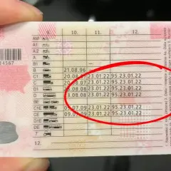 Jak wygląda prawo jazdy z kodem 95? Sprawdź, co musisz wiedzieć o jego wyglądzie i oznaczeniach