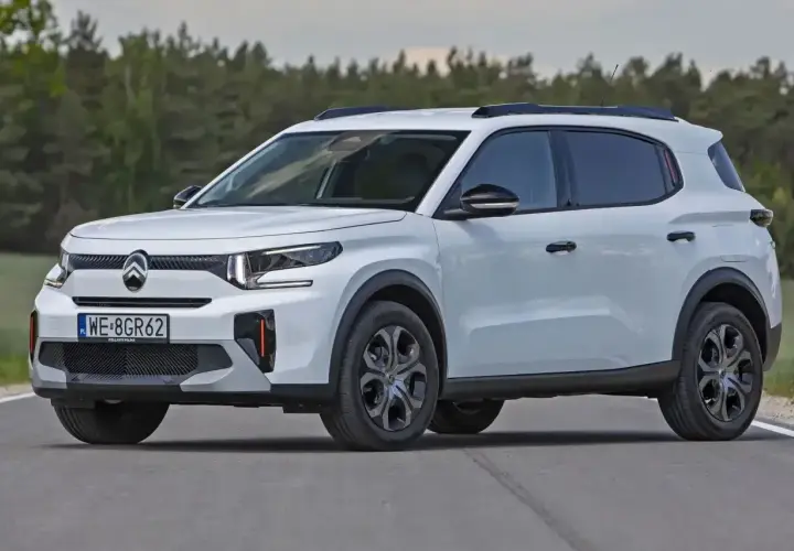 Biały mini suv z czarnymi relingami dachowymi i przyciemnianymi szybami na tle lasu.