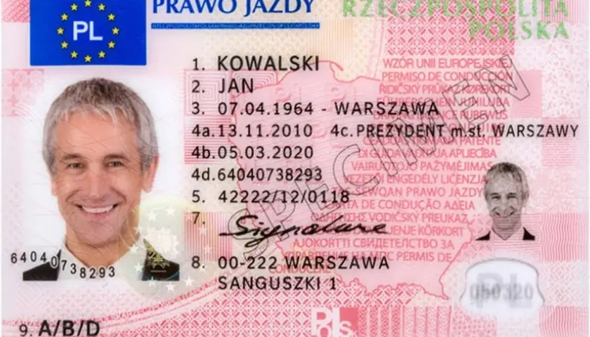 Jak szybko i łatwo sprawdzić termin egzaminu na prawo jazdy bez stresu