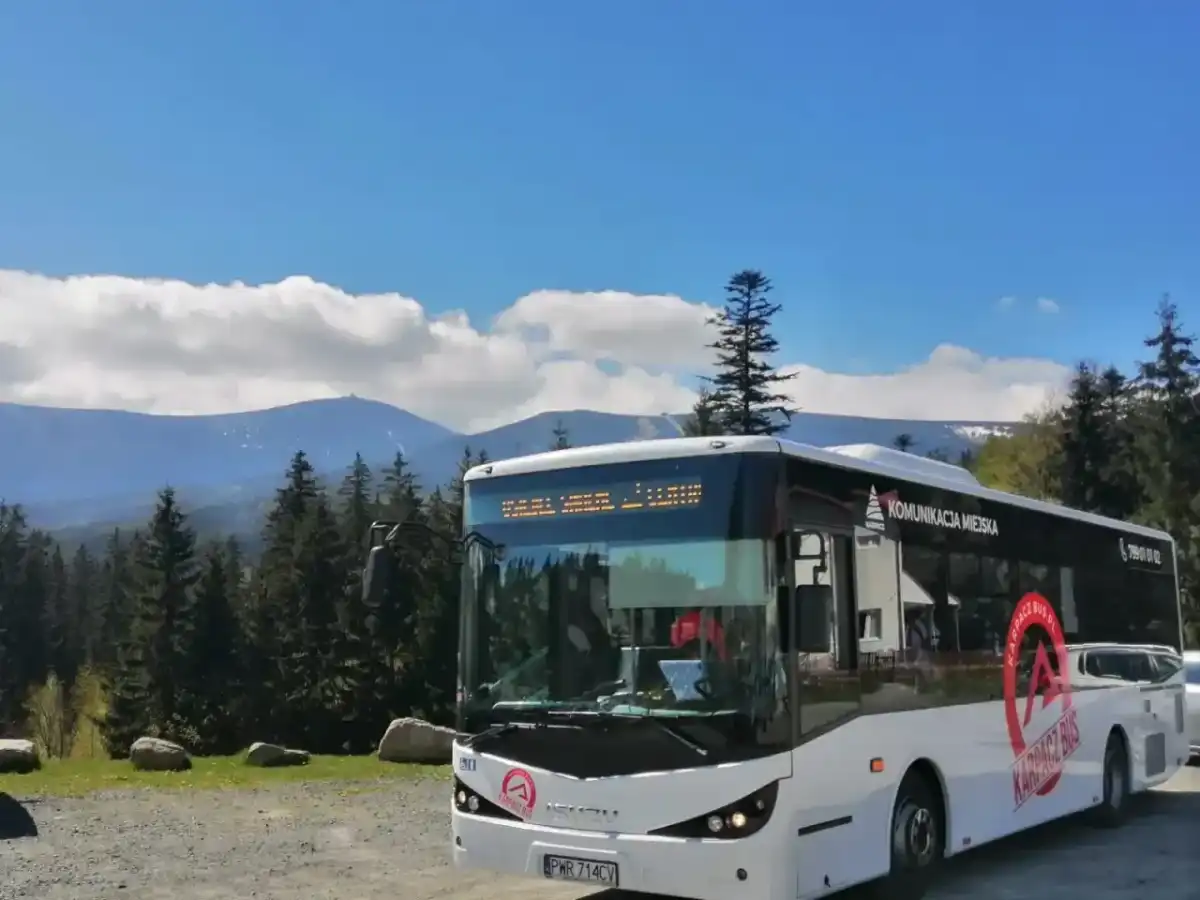 Ile kosztuje autobus? Ceny biletów i zakupu pojazdu